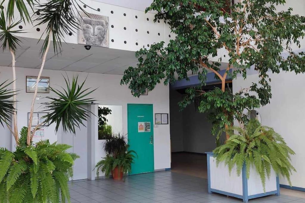 Studio Calais Front De Mer-Le Cocon Du Dragon-Classe 3 Etoiles Exteriér fotografie
