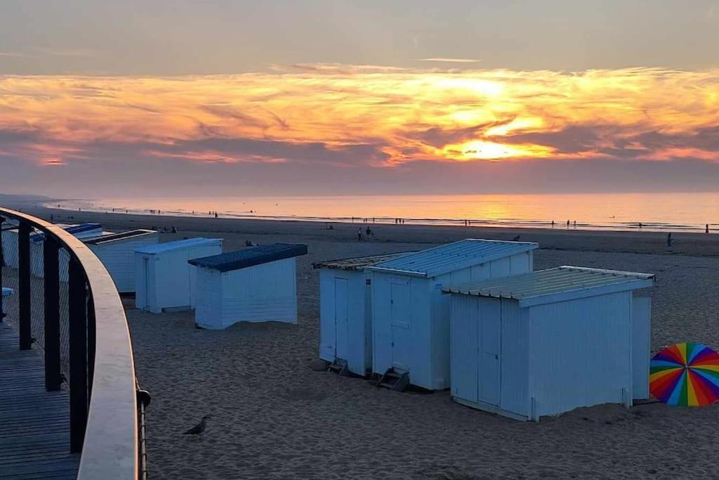 Studio Calais Front De Mer-Le Cocon Du Dragon-Classe 3 Etoiles Exteriér fotografie
